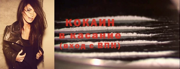 шишки Волоколамск