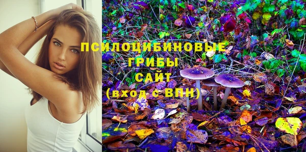 прущие грибы Волосово