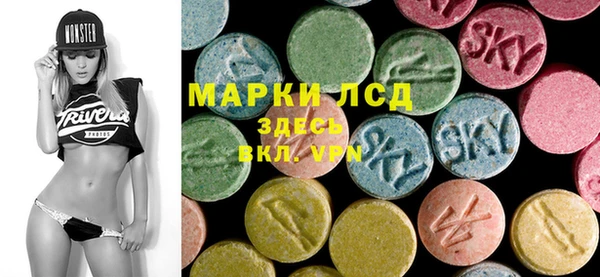 прущие грибы Волосово