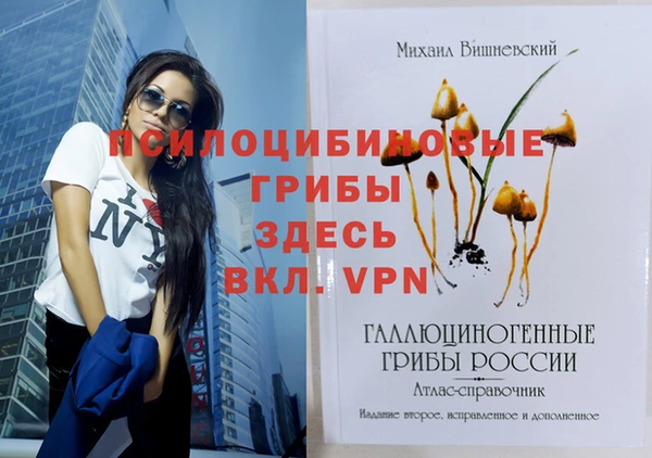 шишки Волоколамск