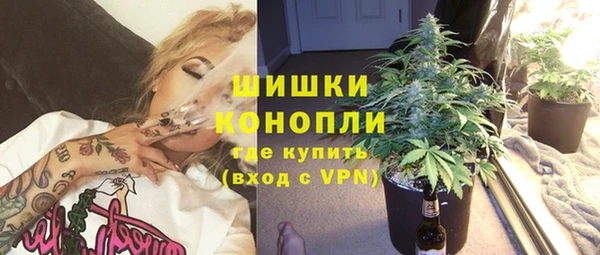 шишки Волоколамск