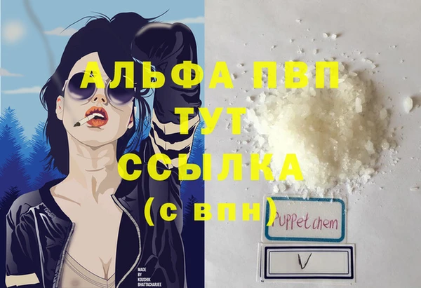прущие грибы Волосово