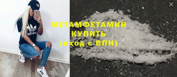 прущие грибы Волосово