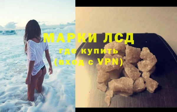прущие грибы Волосово